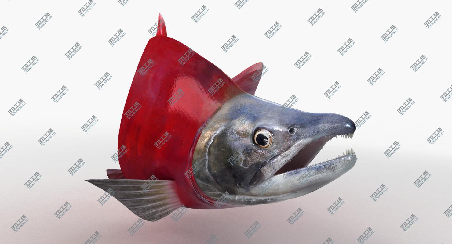 images/goods_img/2021040161/Sockeye Salmon (Animated)/3.jpg